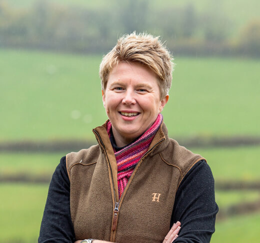 Chrysalis architectural design image